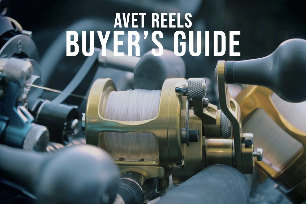 Avet Reels Buyer's Guide: Which Series Is Right for You? Tackle Express - Saltwater and Freshwater Fishing Tackle Shop Avet Reels Buyer's Guide: Which Series Is Right for You? Tackle Express - Saltwater and Freshwater Fishing Tackle Shop