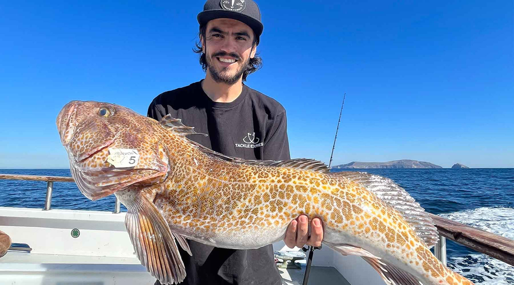 Rockfish Basics and Essentials for Southern California Anglers - Tackle Express - Saltwater and Freshwater Fishing Tackle Shop