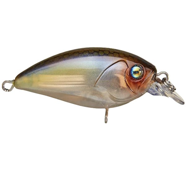 damiki fishing lures Damiki Disco 40 BFS Crankbait Mossy Shad