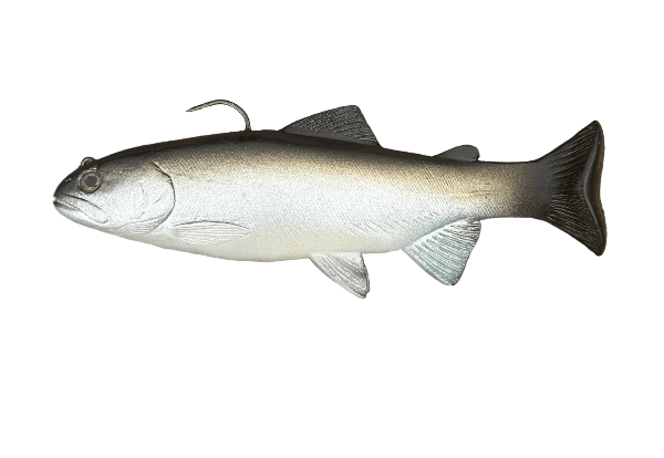 Huddleston Deluxe Trout Swimbait 8"