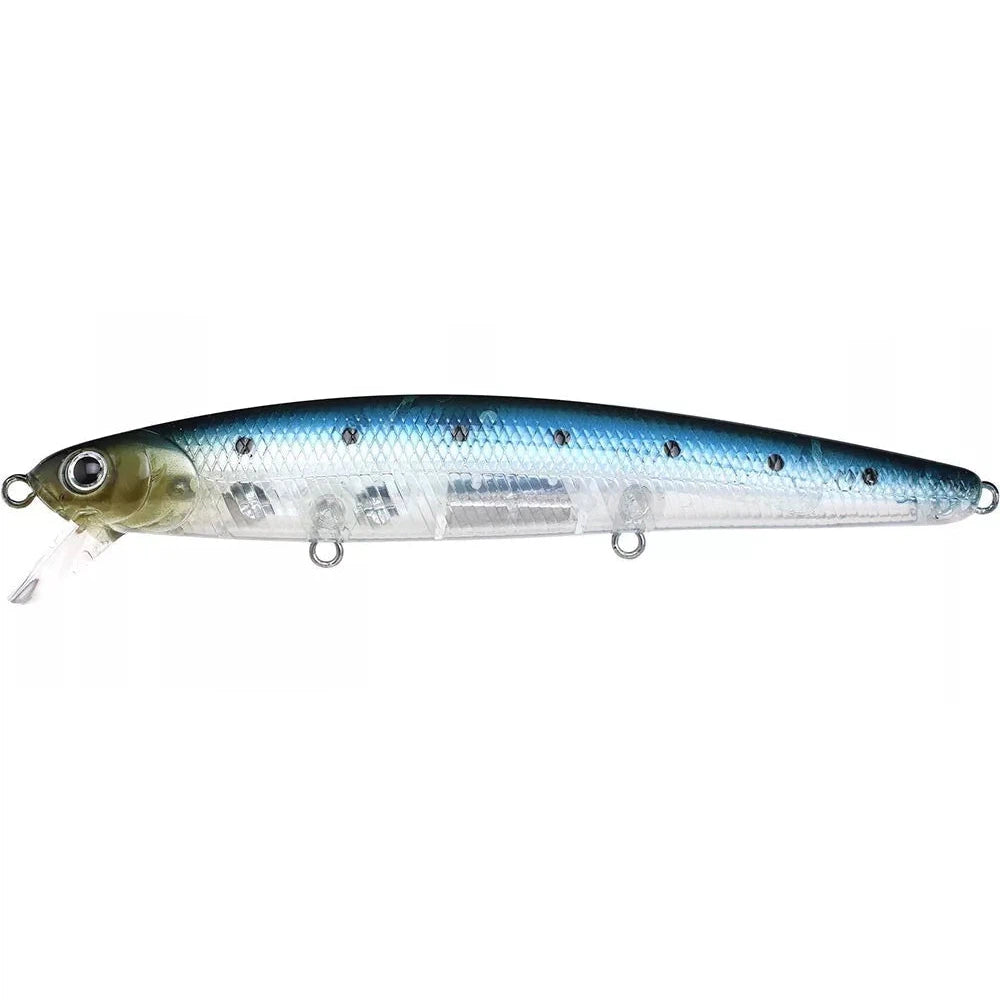 laser ghost sardine