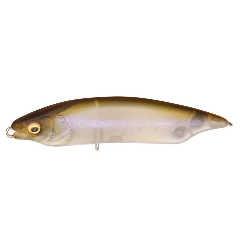 Megabass Karashi 80 Twitch Bait Topwater – Tackle Express