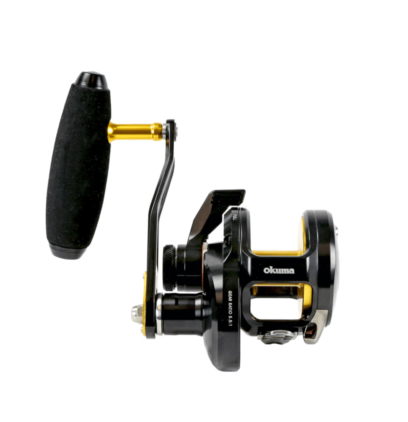drag reel fishing Okuma Tesoro Lever Drag Jigging Reel Conventional Lever Drag Reels – Tackle Express