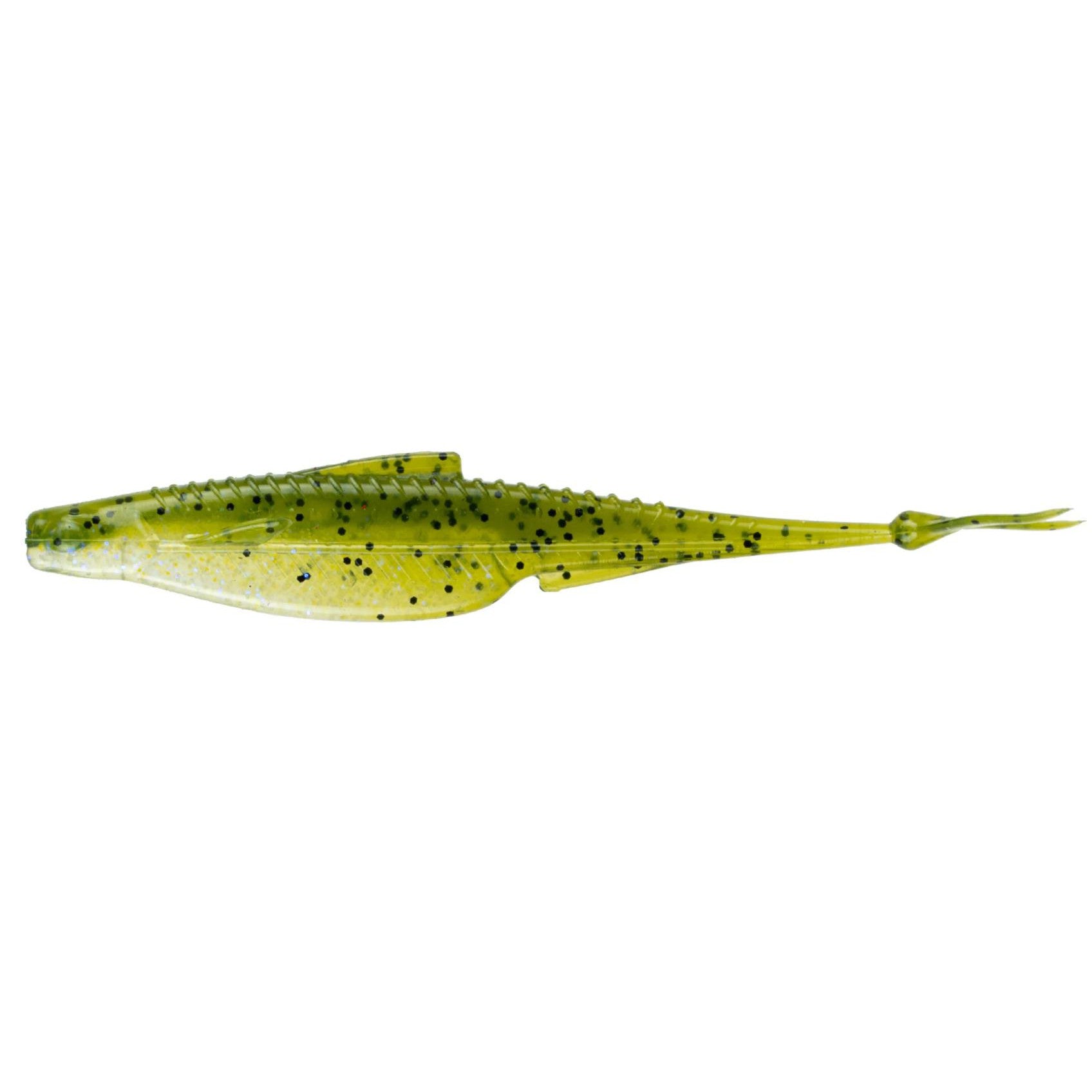 watermelon gill