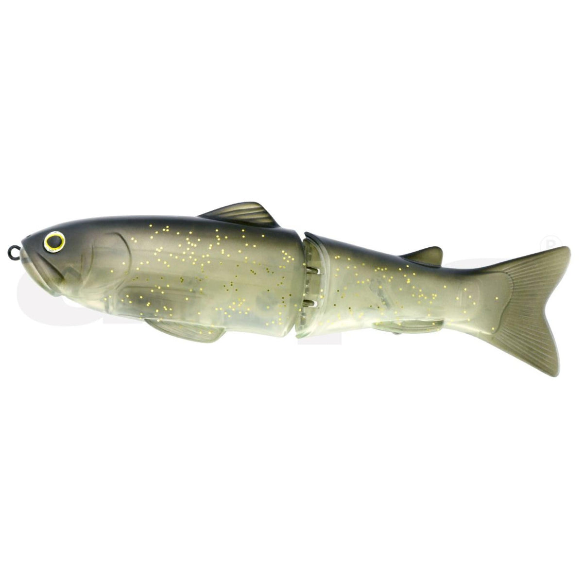 Golden shiner