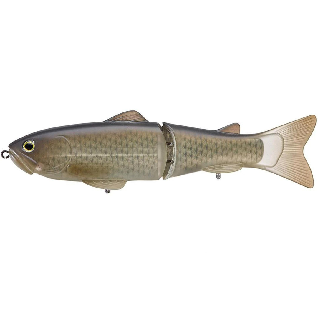 Flash Carp #05
