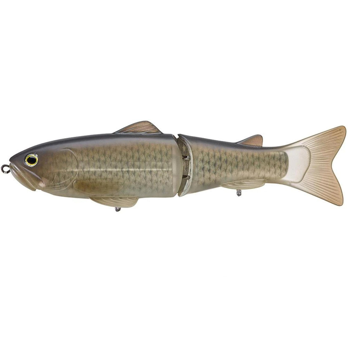 Flash Carp
