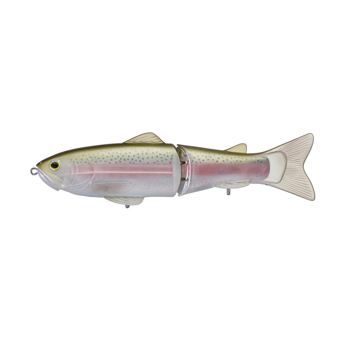 JPN Rainbow Trout