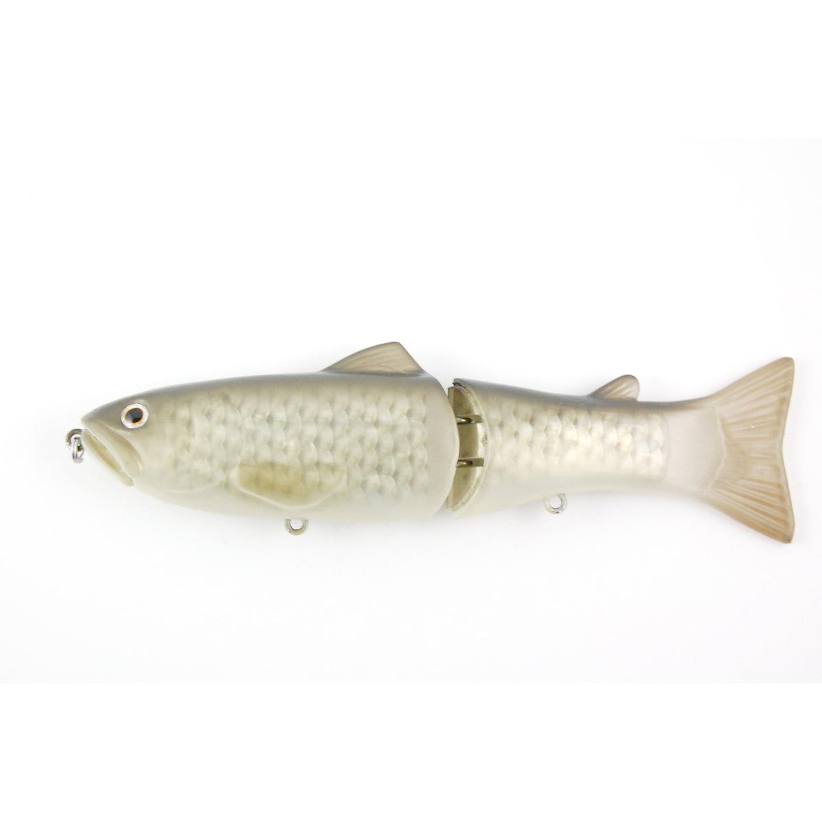 flash carp