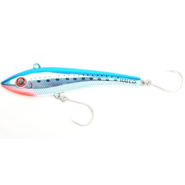 pilchard