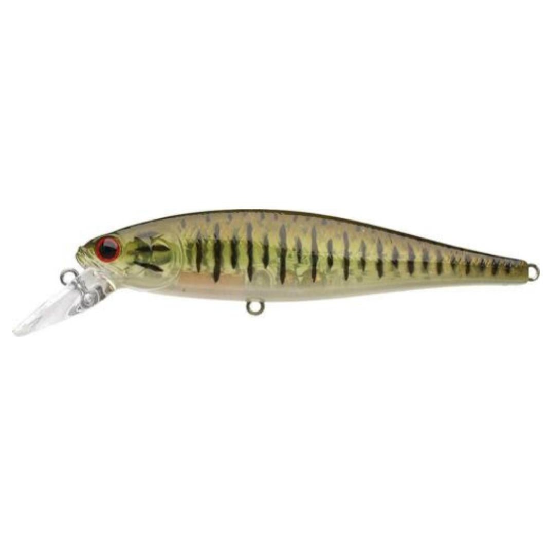 Lucky Craft Pointer 100 SP JerkbaitSmall Mouth Bass