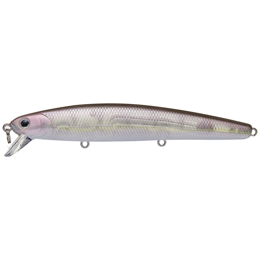 ghost white seabass