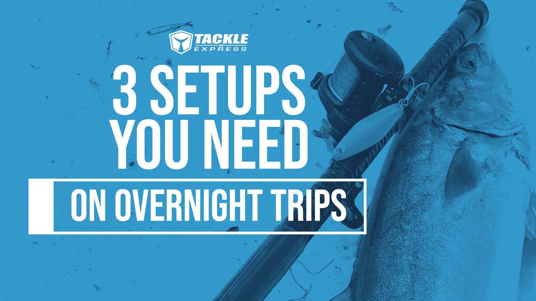 SoCal Overnight Fishing: The 3 Rod Setups You Actually Need