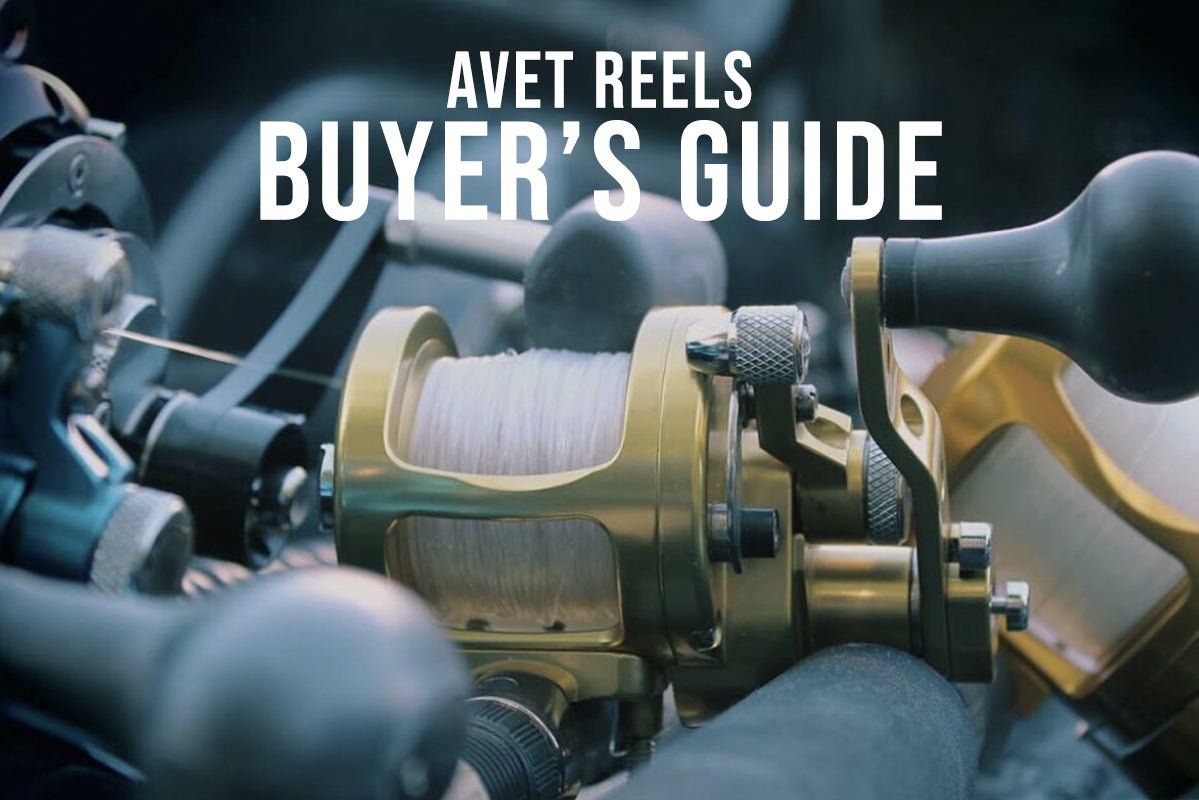 Avet Reels Buyer's Guide: Which Series Is Right for You? - Tackle Express - Saltwater and Freshwater Fishing Tackle Shop