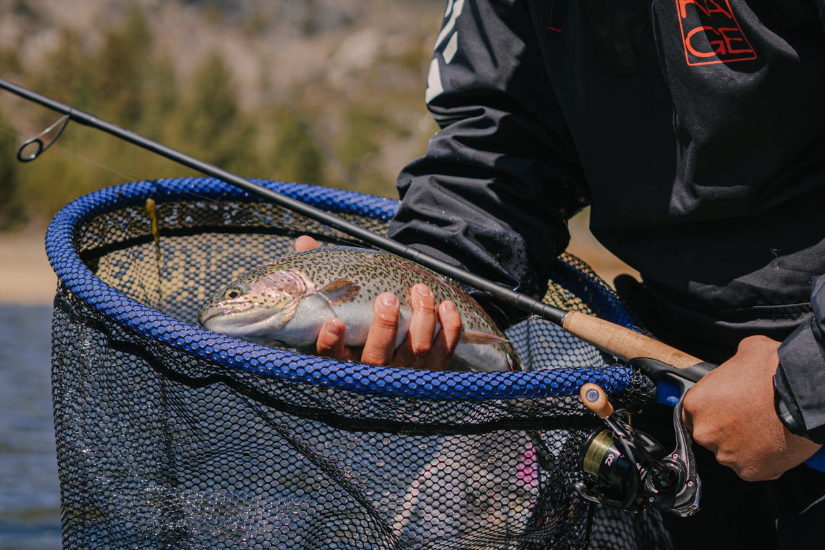 California Trout Season 2026: Best Rigs, Baits & Gear - Tackle Express - Saltwater and Freshwater Fishing Tackle Shop