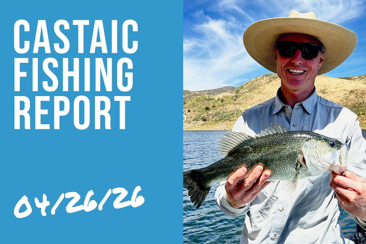 Castaic Lake Bass Fishing Report: April 26, 2026 - Tackle Express - Saltwater and Freshwater Fishing Tackle Shop