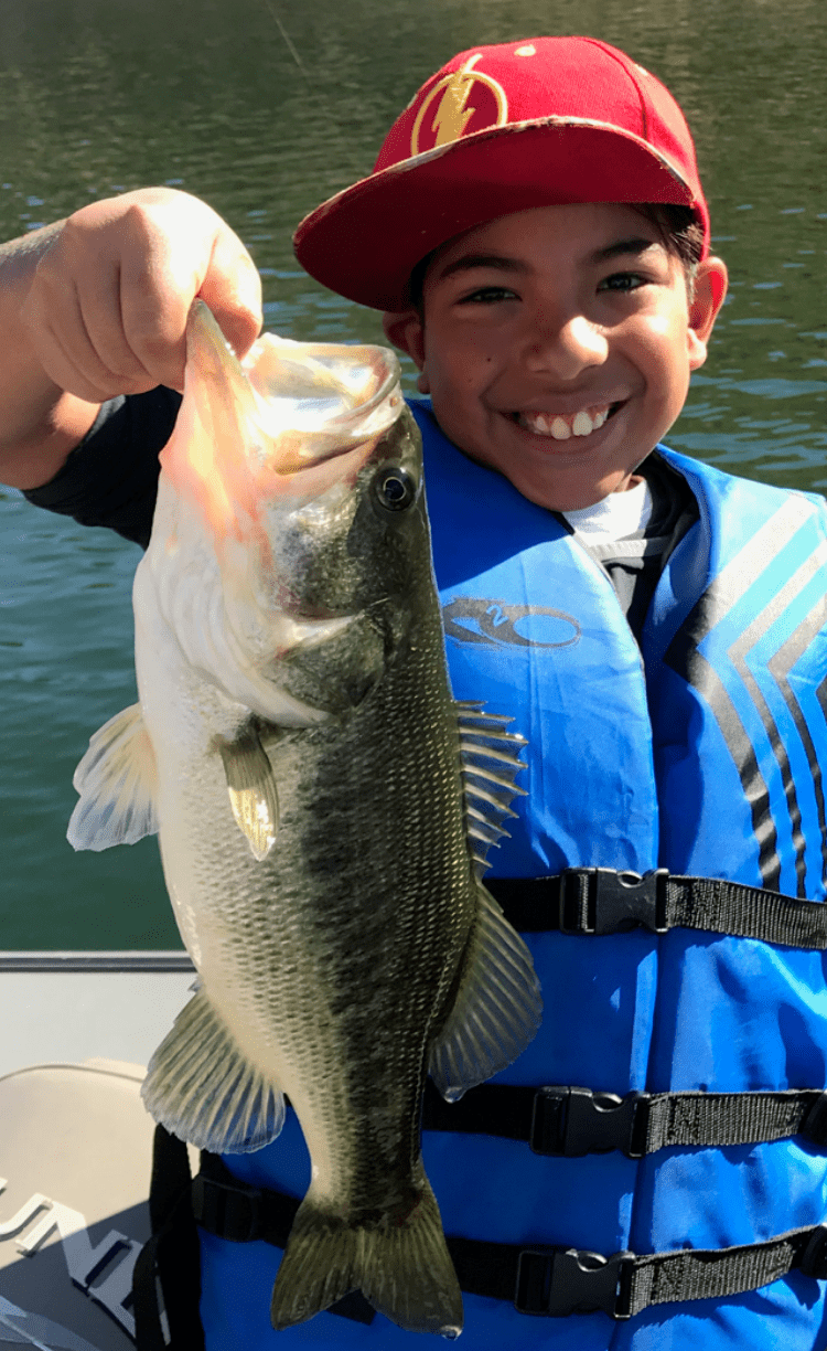 Castaic Lake Fishing Report – 03/07/2020 - Tackle Express - Saltwater and Freshwater Fishing Tackle Shop
