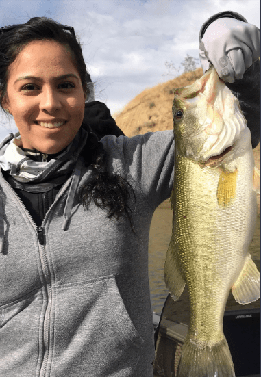 Castaic Lake Fishing Report – 04/11/2020 - Tackle Express - Saltwater and Freshwater Fishing Tackle Shop