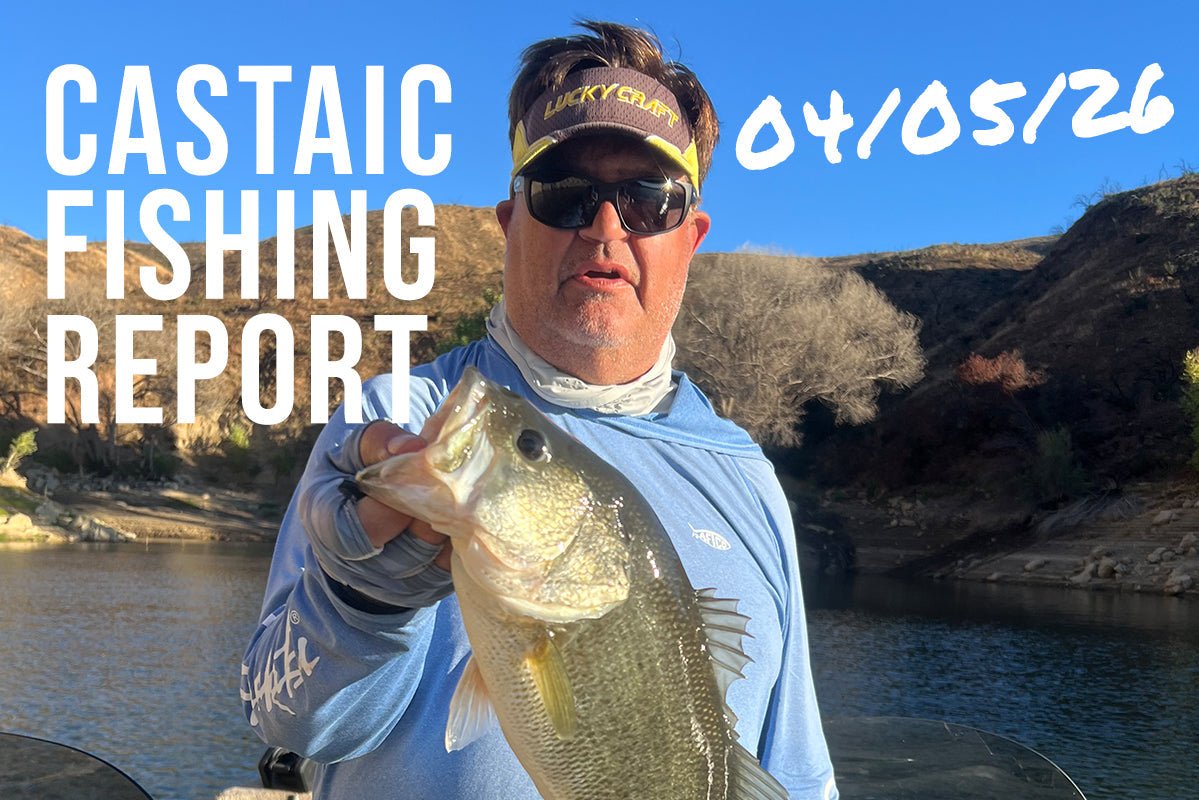 Castaic Lake Fishing Report: April 5, 2026 – Solid Bass Bite on Finesse Worms Despite Spring Winds with Guide Jim Taibi - Tackle Express - Saltwater and Freshwater Fishing Tackle Shop