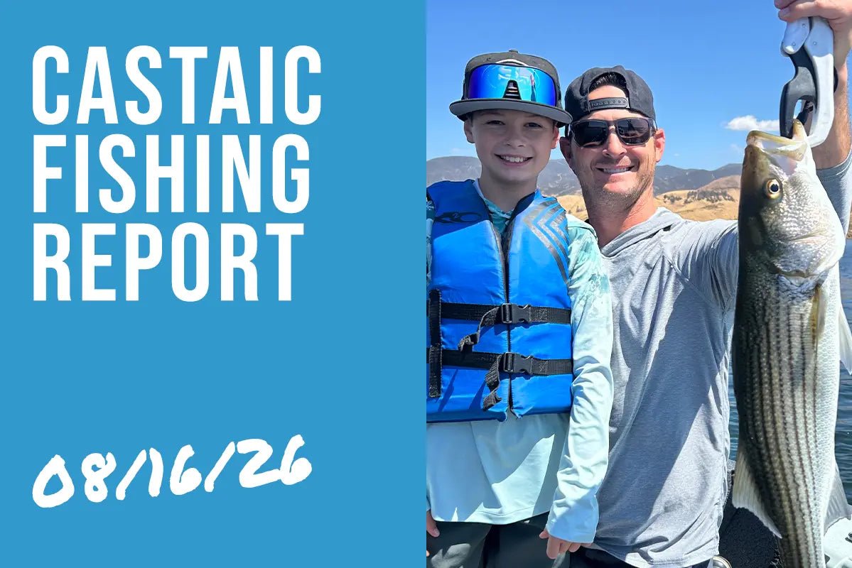 Castaic Lake Fishing Report – August 16, 2026 | Striper Boils Expanding & Topwater Bass Bite Dialed In - Tackle Express - Saltwater and Freshwater Fishing Tackle Shop