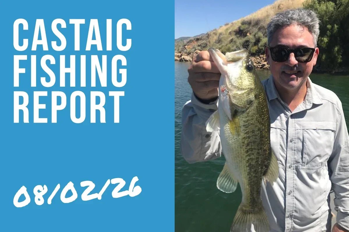 Castaic Lake Fishing Report – August 2, 2026 | Wolf Packs Are Here & Topwater Is Getting Better Every Day - Tackle Express - Saltwater and Freshwater Fishing Tackle Shop