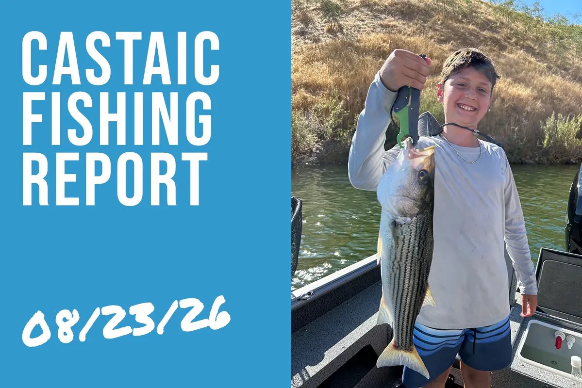 Castaic Lake Fishing Report – August 23, 2026 | Striper Boils at Center Point & Size-Matching the Bait Is Everything - Tackle Express - Saltwater and Freshwater Fishing Tackle Shop