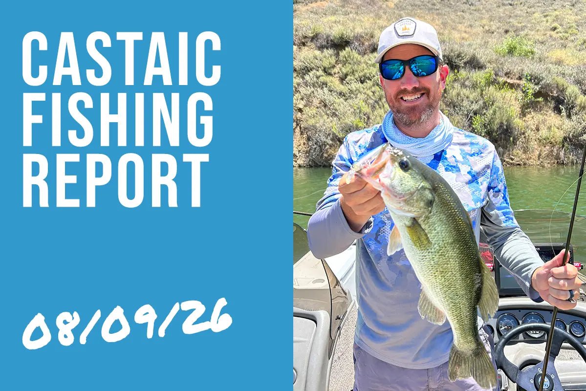 Castaic Lake Fishing Report – August 9, 2026 | Topwater Bass & Striper Boils Are Getting Better Every Day - Tackle Express - Saltwater and Freshwater Fishing Tackle Shop