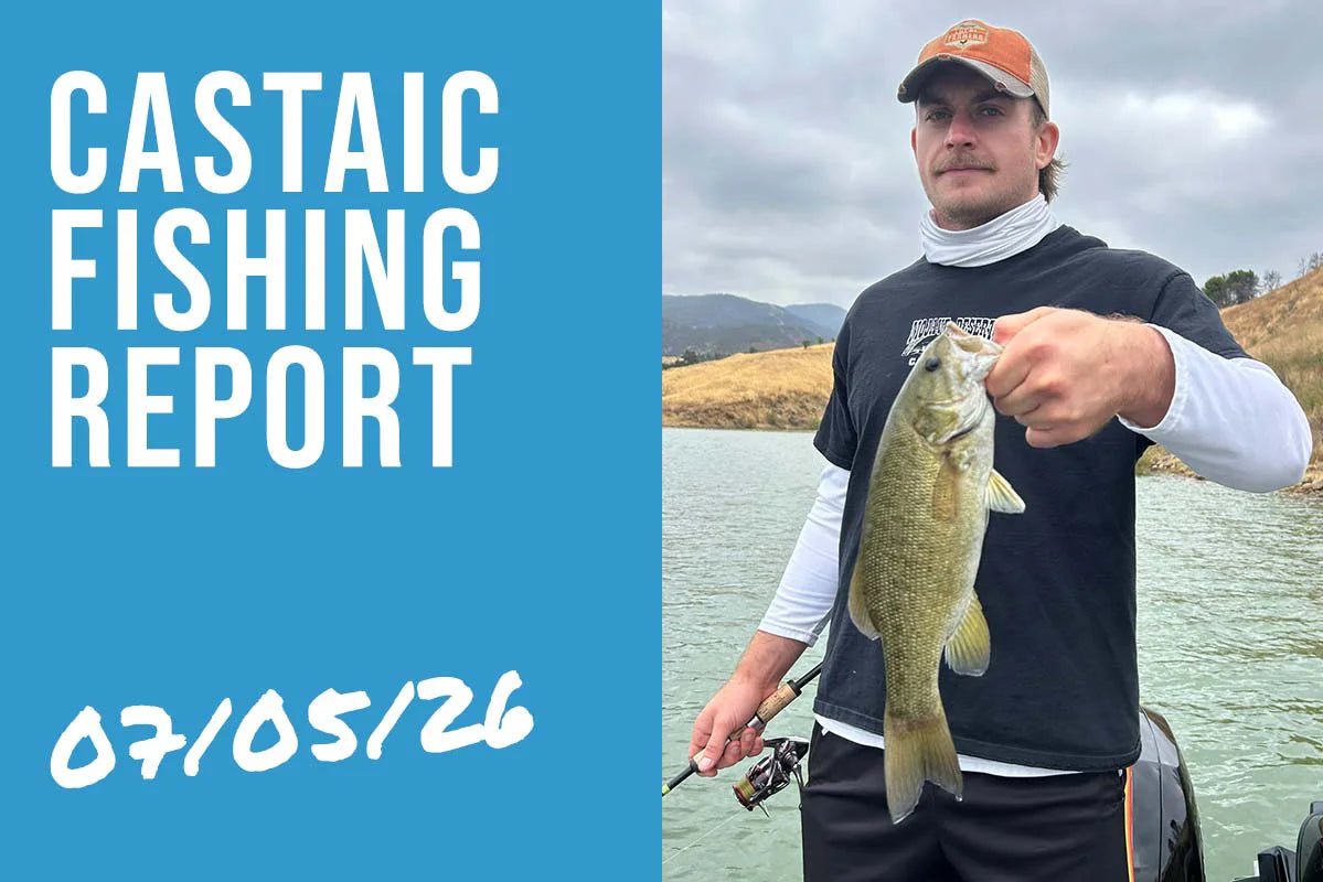 Castaic Lake Fishing Report – July 5, 2026 | Clearing Water, Cruising Bass & a Reaction Bite Starting to Build - Tackle Express - Saltwater and Freshwater Fishing Tackle Shop
