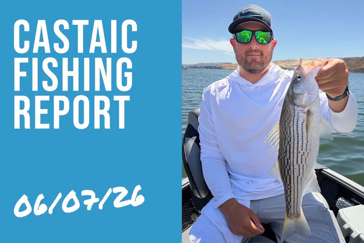 Castaic Lake Fishing Report – June 7, 2026 | First Topwater Stripers of the Year Are Here - Tackle Express - Saltwater and Freshwater Fishing Tackle Shop