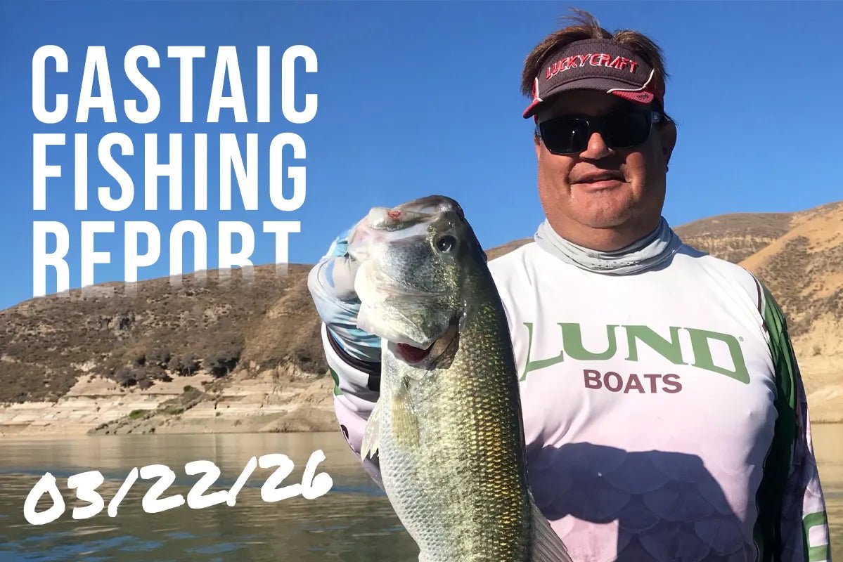 Castaic Lake Fishing Report: March 22, 2026 – Finesse Plastics Crushing the Bass Bite with Guide Jim Taibi - Tackle Express - Saltwater and Freshwater Fishing Tackle Shop