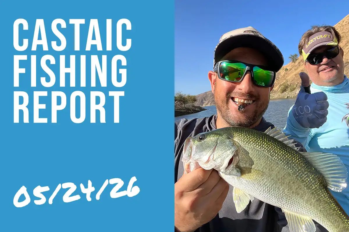 Castaic Lake Fishing Report – May 24, 2026 | Shad Spawning & the Topwater Bite Is Almost Here - Tackle Express - Saltwater and Freshwater Fishing Tackle Shop