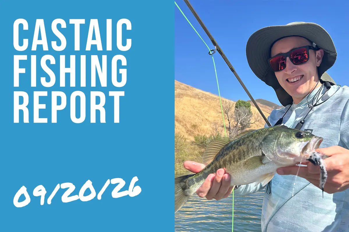 Castaic Lake Fishing Report – September 20, 2026 | Live Shad Bite Still Exceptional & Jim Taibi at Tacos & Tackle This Saturday - Tackle Express - Saltwater and Freshwater Fishing Tackle Shop