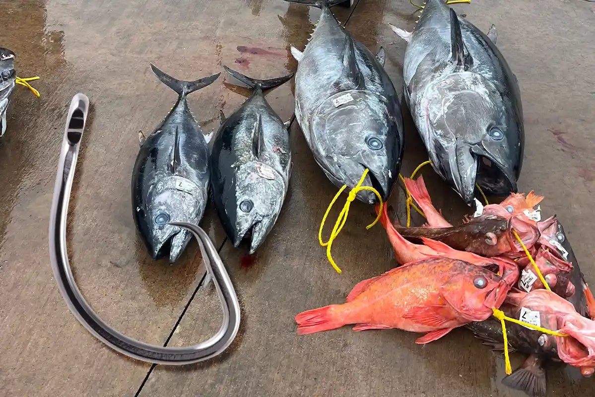 Essential Hooks for Deep Sea Fishing in Southern California: J-Hooks vs Circle Hooks - Tackle Express - Saltwater and Freshwater Fishing Tackle Shop