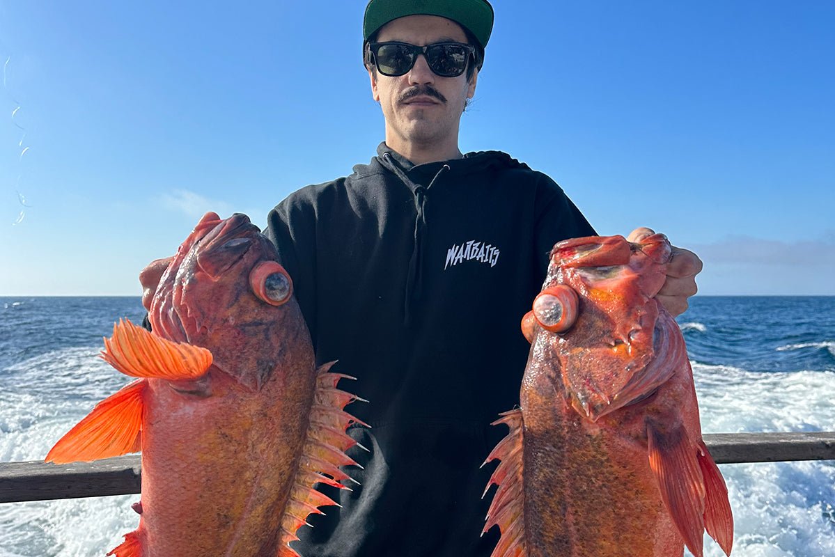 Essential Rods, Reels & Setup Tips for Southern California Rockfishing - Tackle Express - Saltwater and Freshwater Fishing Tackle Shop