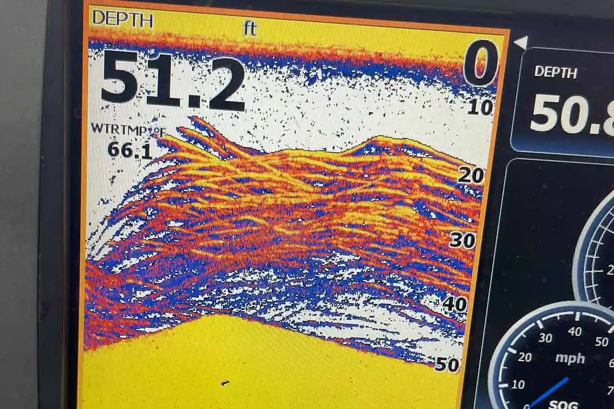 How to Catch Suspended Bass in Winter - Tackle Express - Saltwater and Freshwater Fishing Tackle Shop