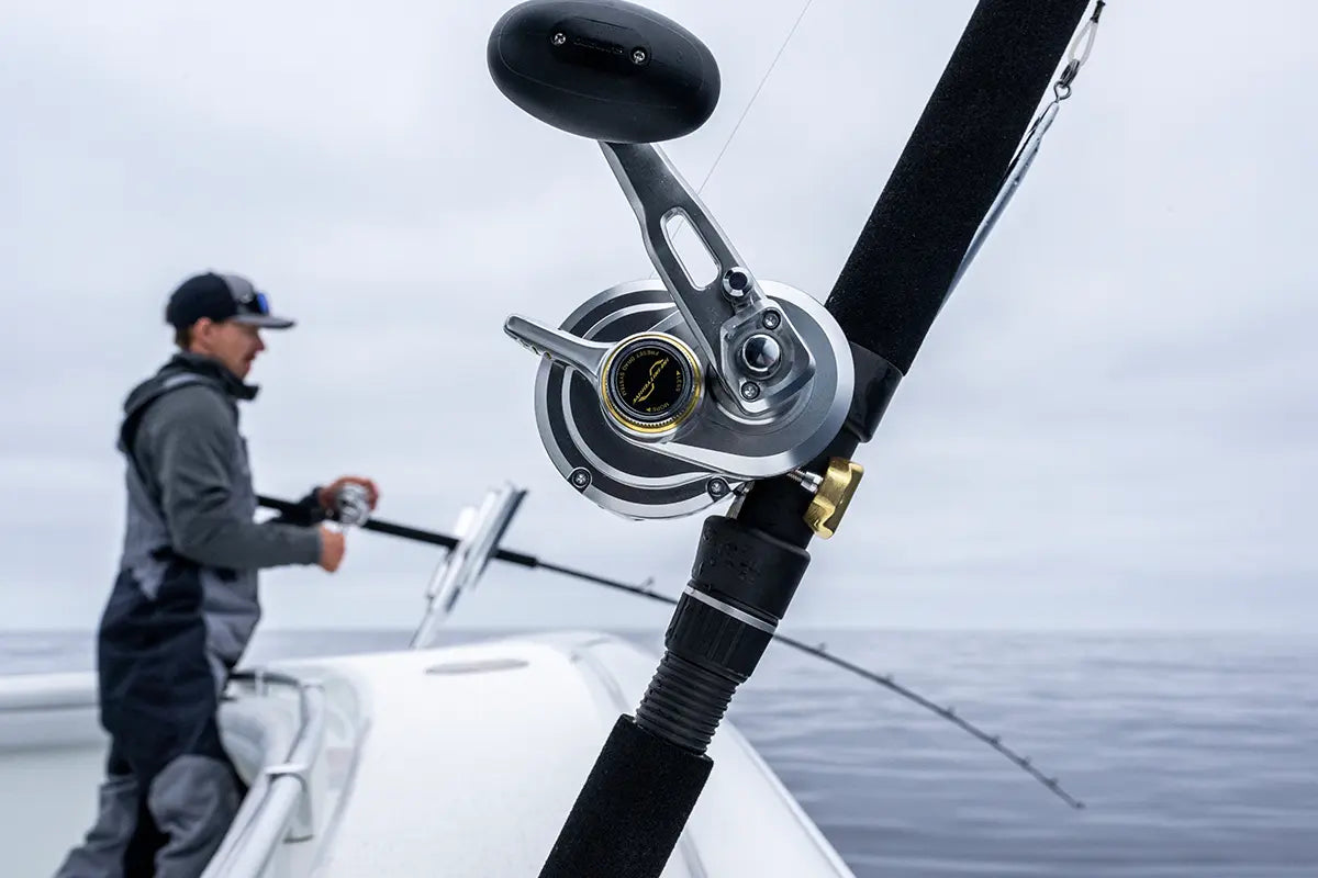 Shimano Conventional Reels: The Complete Buyer's Guide