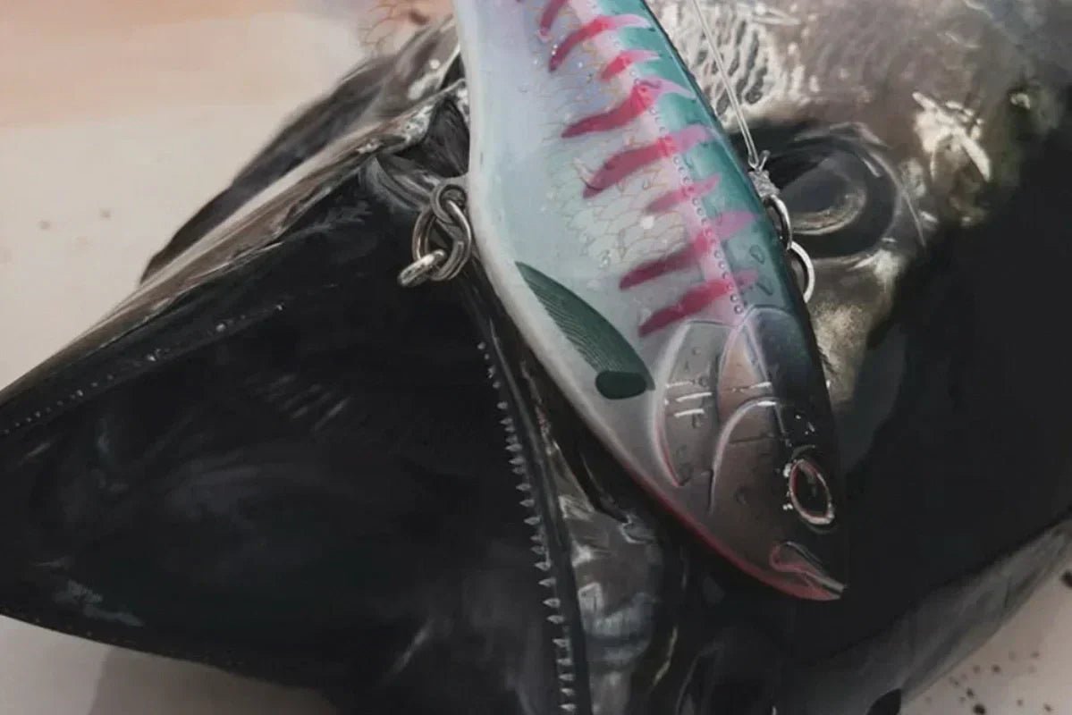 SoCal Bluefin Are Biting Right Now — The 2026 High-Speed Trolling Playbook - Tackle Express - Saltwater and Freshwater Fishing Tackle Shop