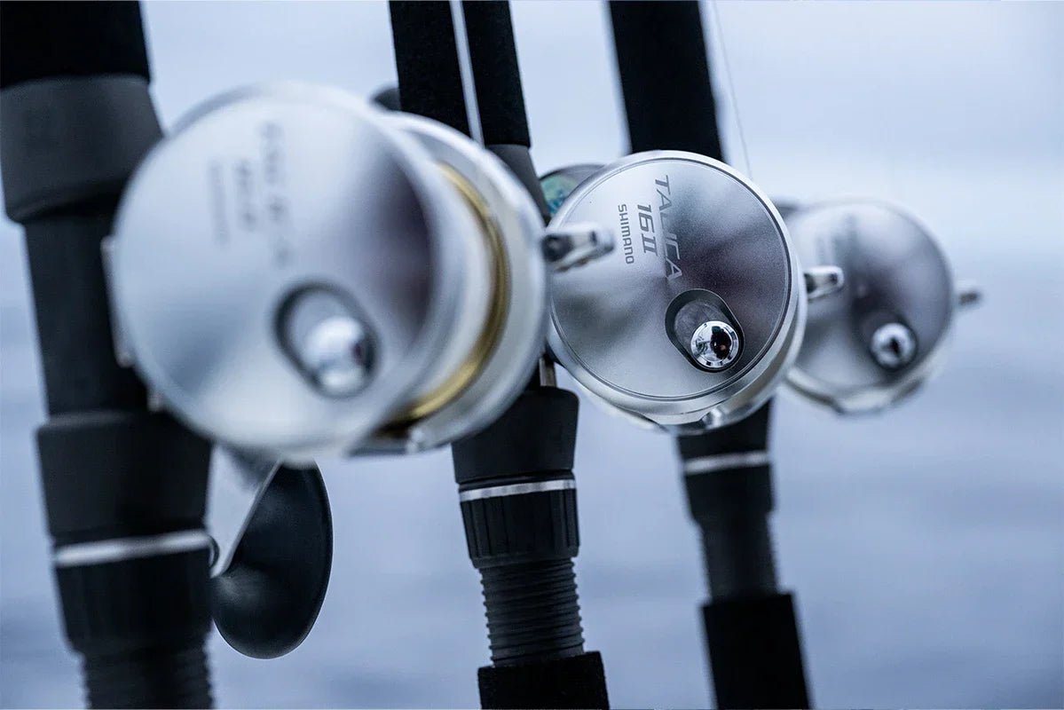 SoCal Saltwater Summer Fishing Setup Guide 2026: The Reels, Rods, and Jigs Worth Running Right Now - Tackle Express - Saltwater and Freshwater Fishing Tackle Shop