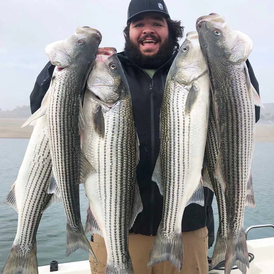 Swimbait Fishing Changes Each Year, You May Need To Change Your Tactics. - Tackle Express - Saltwater and Freshwater Fishing Tackle Shop