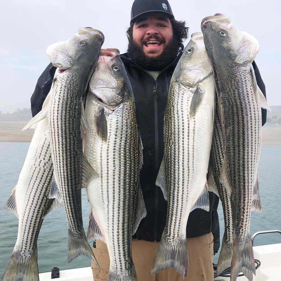 Swimbait Fishing Changes Each Year, You May Need To Change Your Tactics. - Tackle Express - Saltwater and Freshwater Fishing Tackle Shop