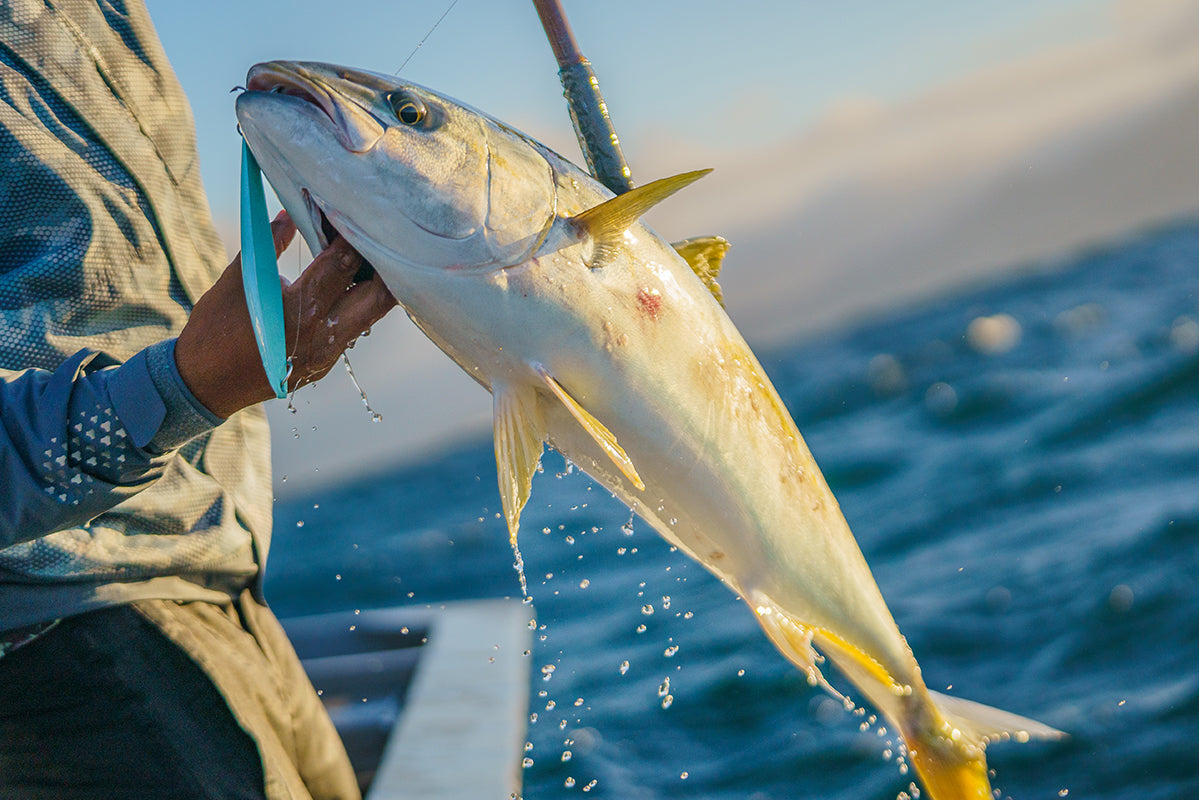 How to Fish the Tady 45 for SoCal Yellowtail: The Complete Iron Guide