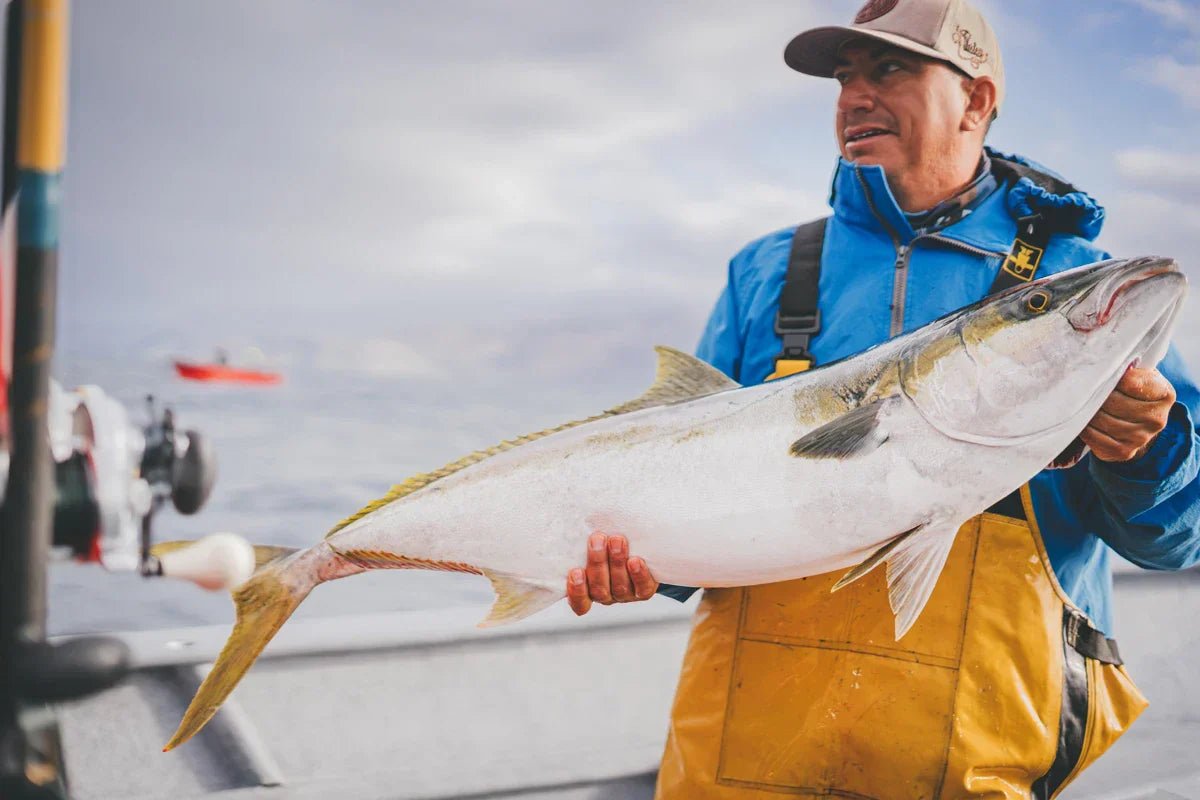 The Cedros Island Tackle Guide: Best Lures and Rod Setups for Baja Yellowtail and Calicos - Tackle Express - Saltwater and Freshwater Fishing Tackle Shop