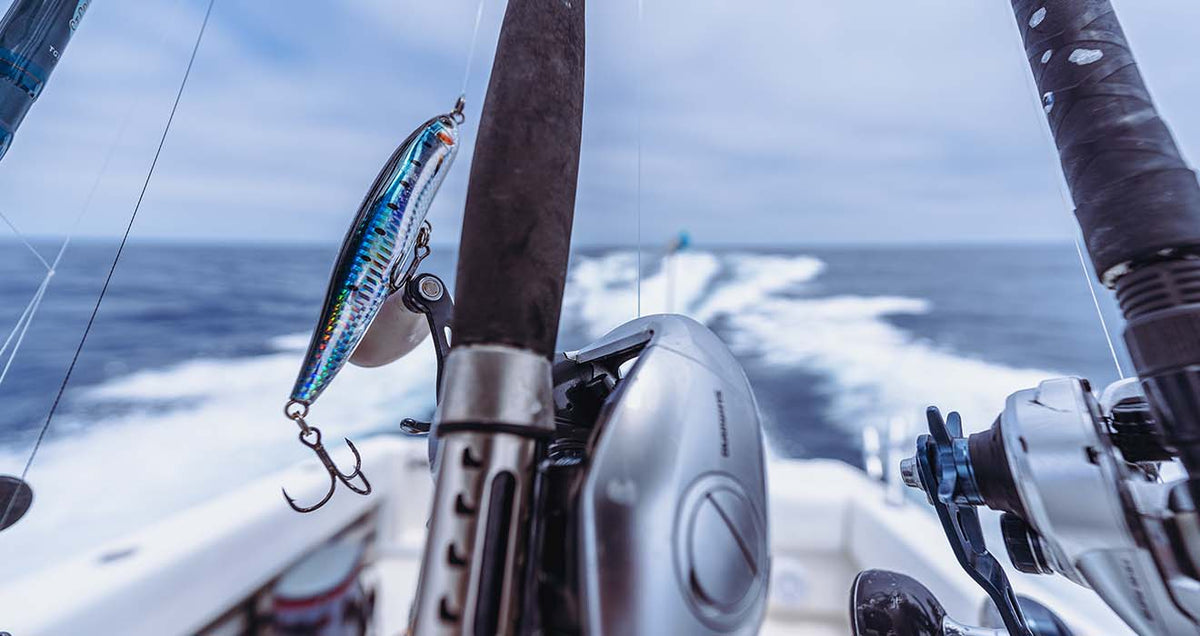 Best Sellers - Tackle Express - Saltwater and Freshwater Fishing Tackle Shop