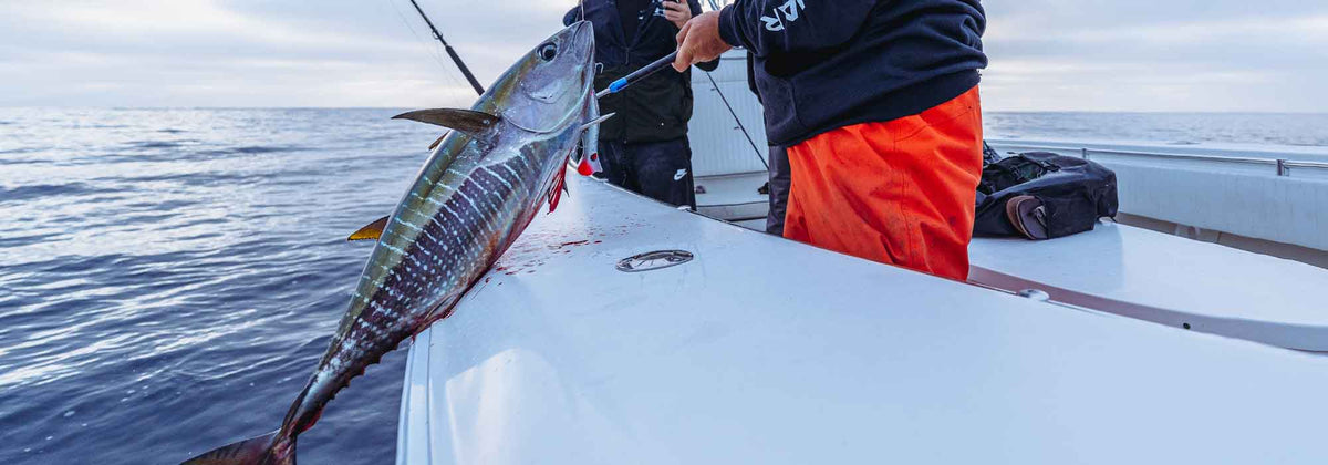 Saltwater Fishing Tackle – Rods, Reels & Gear - Tackle Express - Saltwater and Freshwater Fishing Tackle Shop