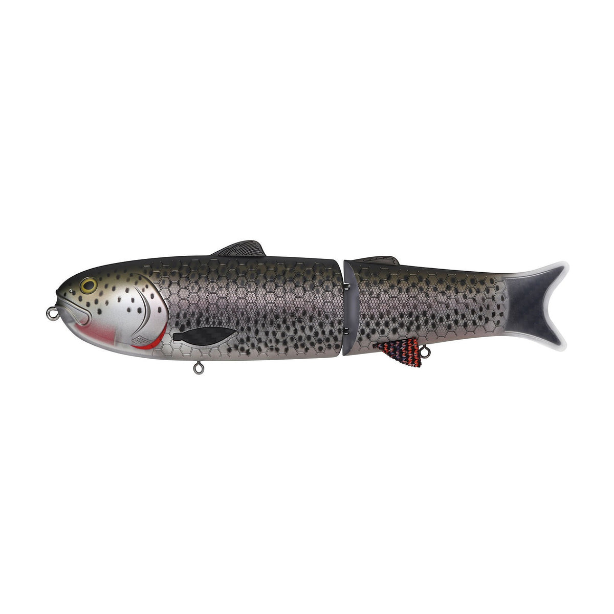 Metallic Trout