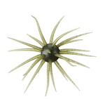 Urchin shaped fishing lure plastic with green tentacles and white background