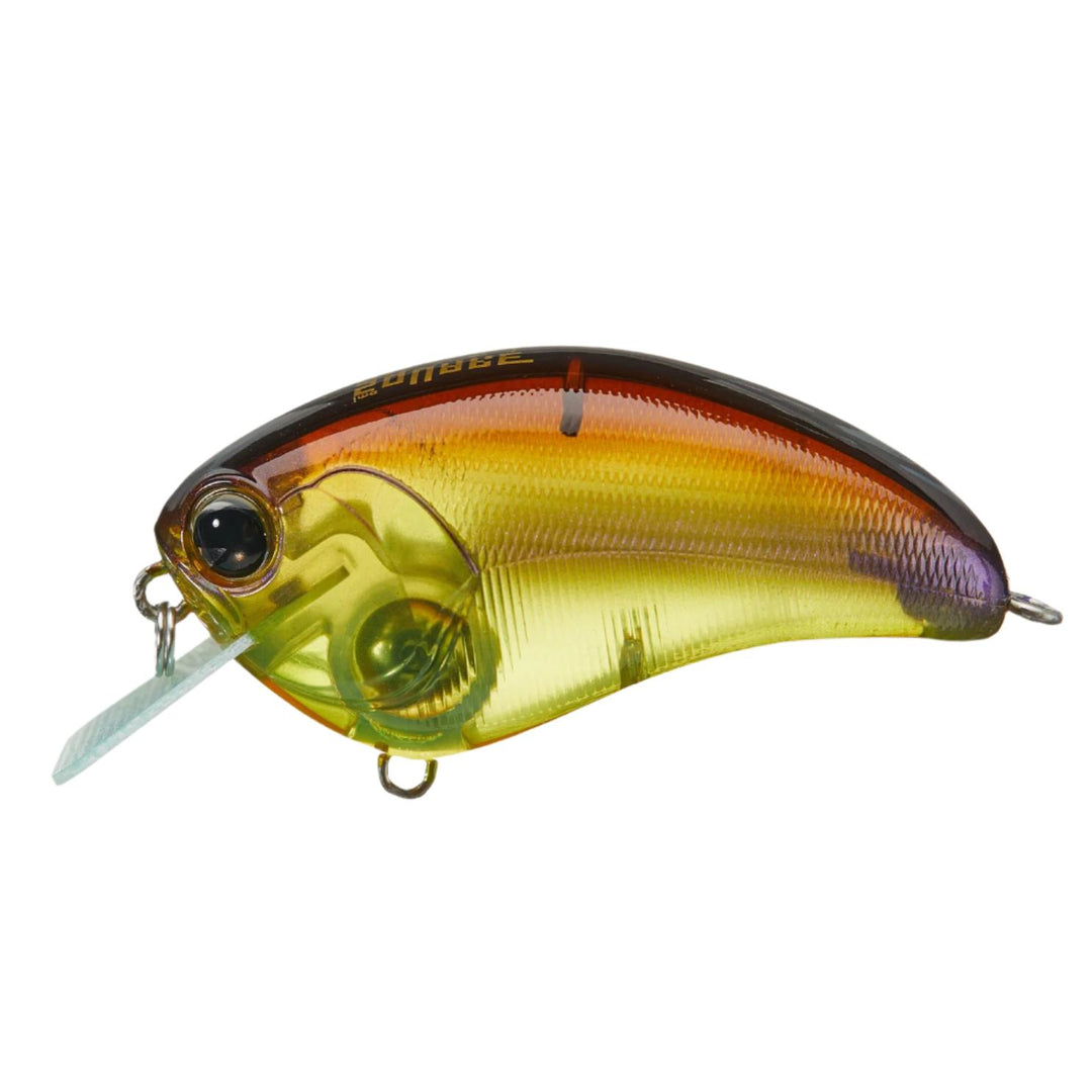 fred's perch