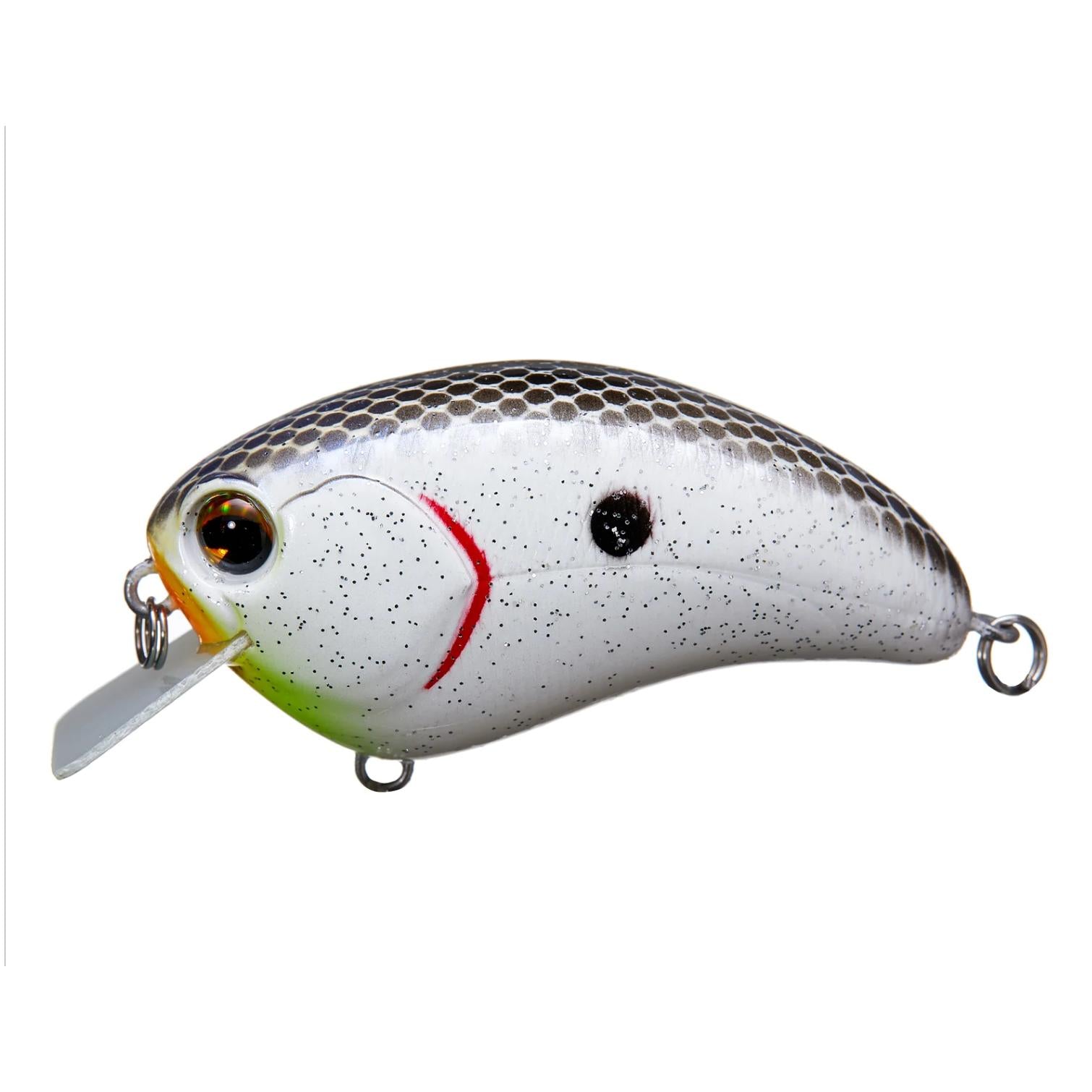 hot shad