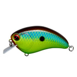 charteruse shad