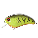 barred black chartreuse